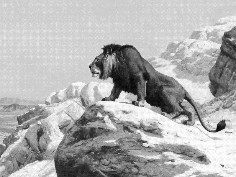 Más allá del obstáculo