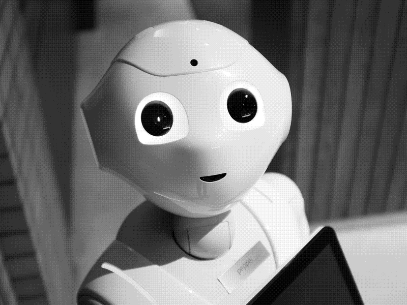 Triunfo del trabajo en equipo